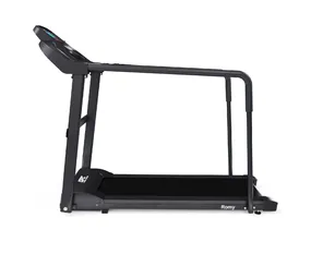 Беговая дорожка DFC Romy T195