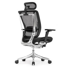 Эргономичное кресло Falto Spring 2 (поясничный валик, подлокотники 6D (360), сетка, чёрный)