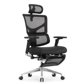 Эргономичное кресло Falto Sail 2 с подножкой (динамичный поясничный упор, подлокотники 6D (360), сетка, чёрный)